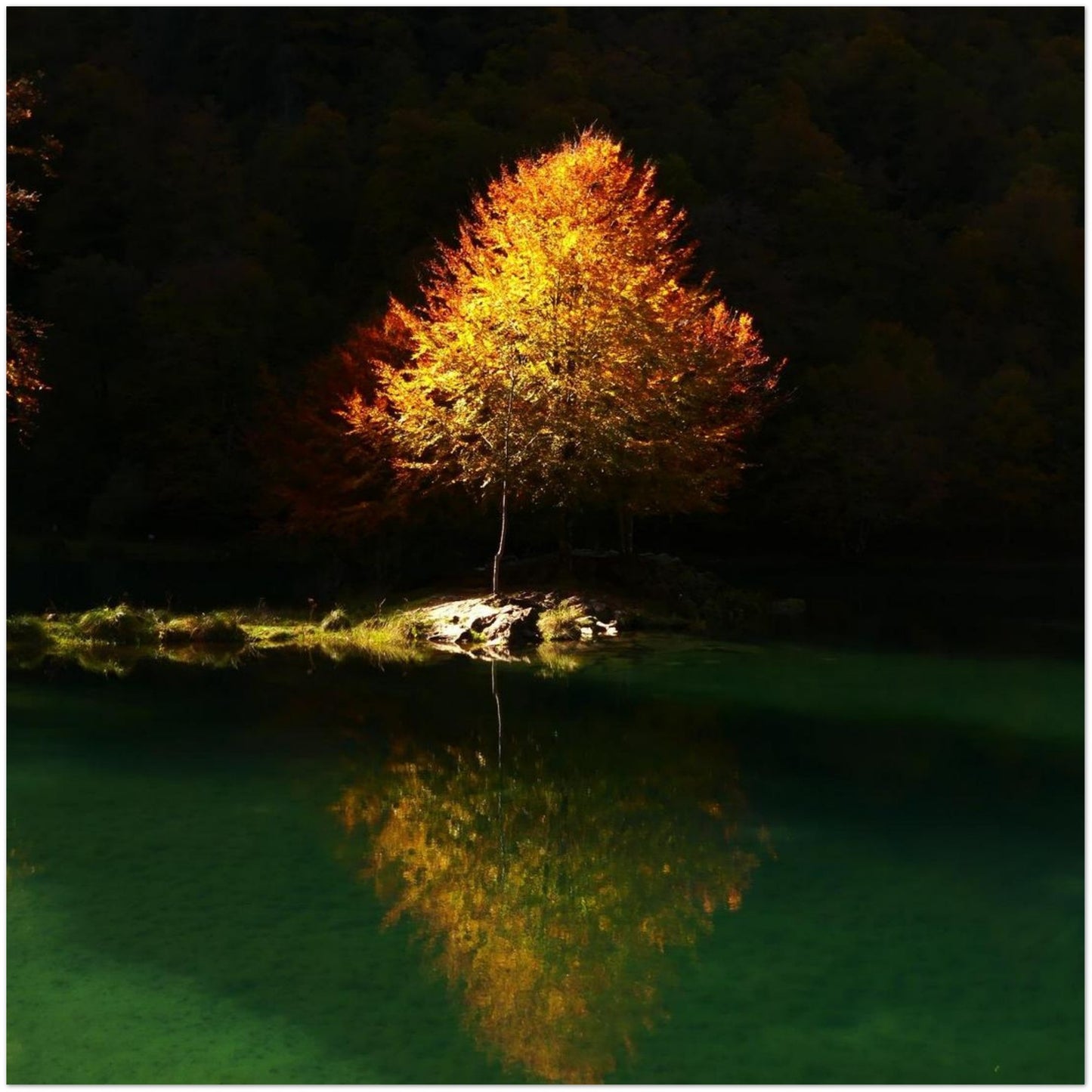 e5d574db-3dda-44e6-bffa-52335ec03f89