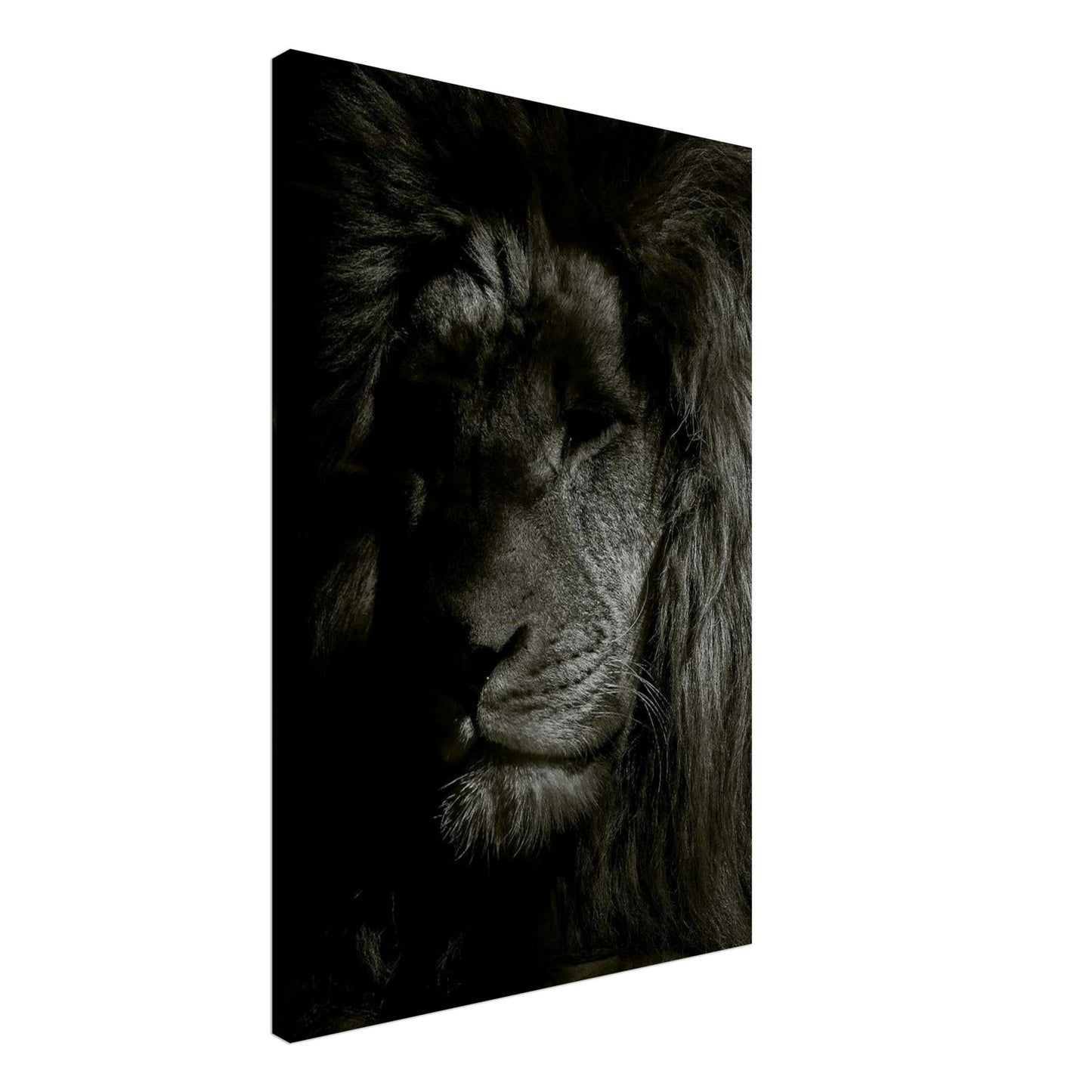 e6883dfb-e6e8-4f73-a1b0-f5abbd792914