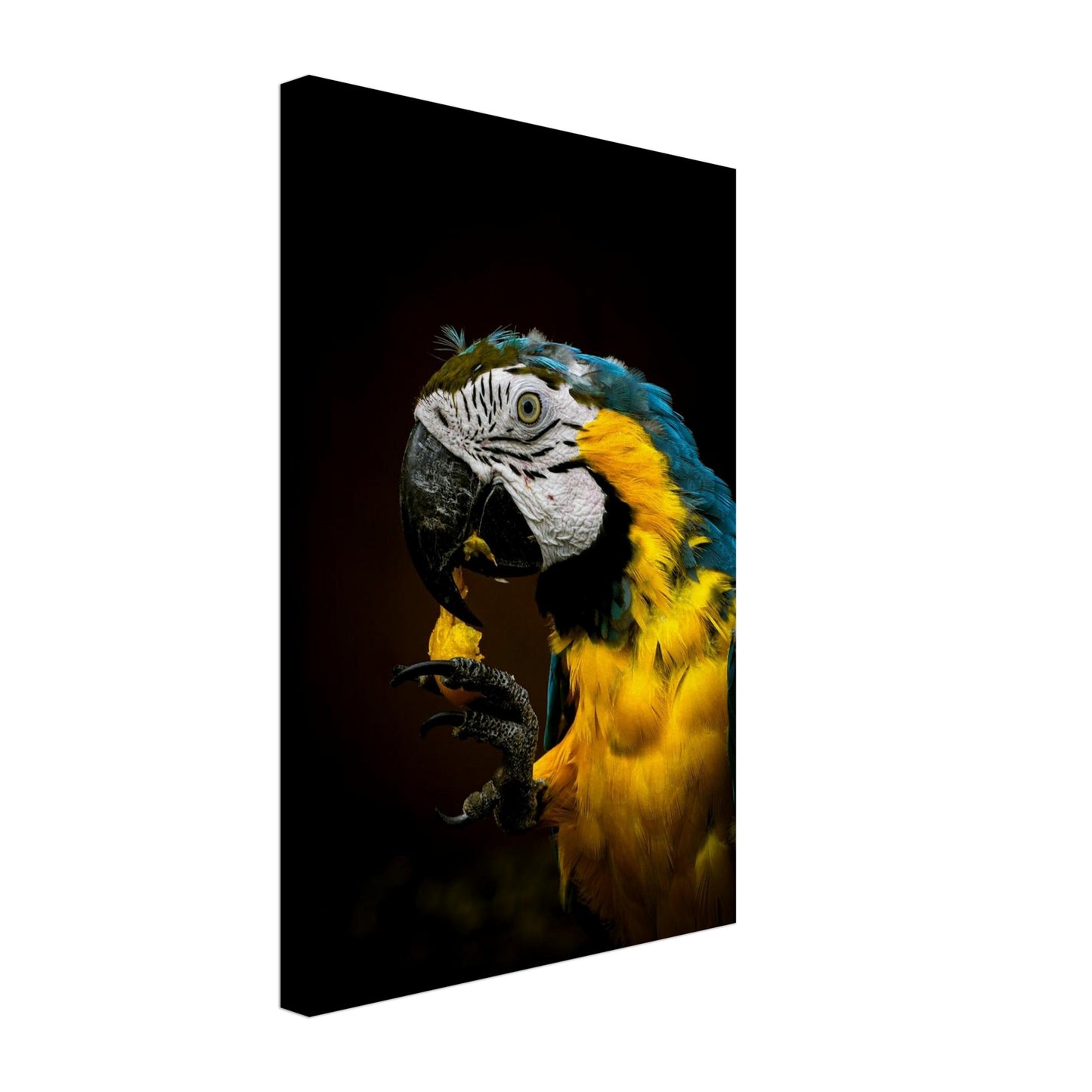 e7190faf-0051-476f-bf13-7afc86c73648