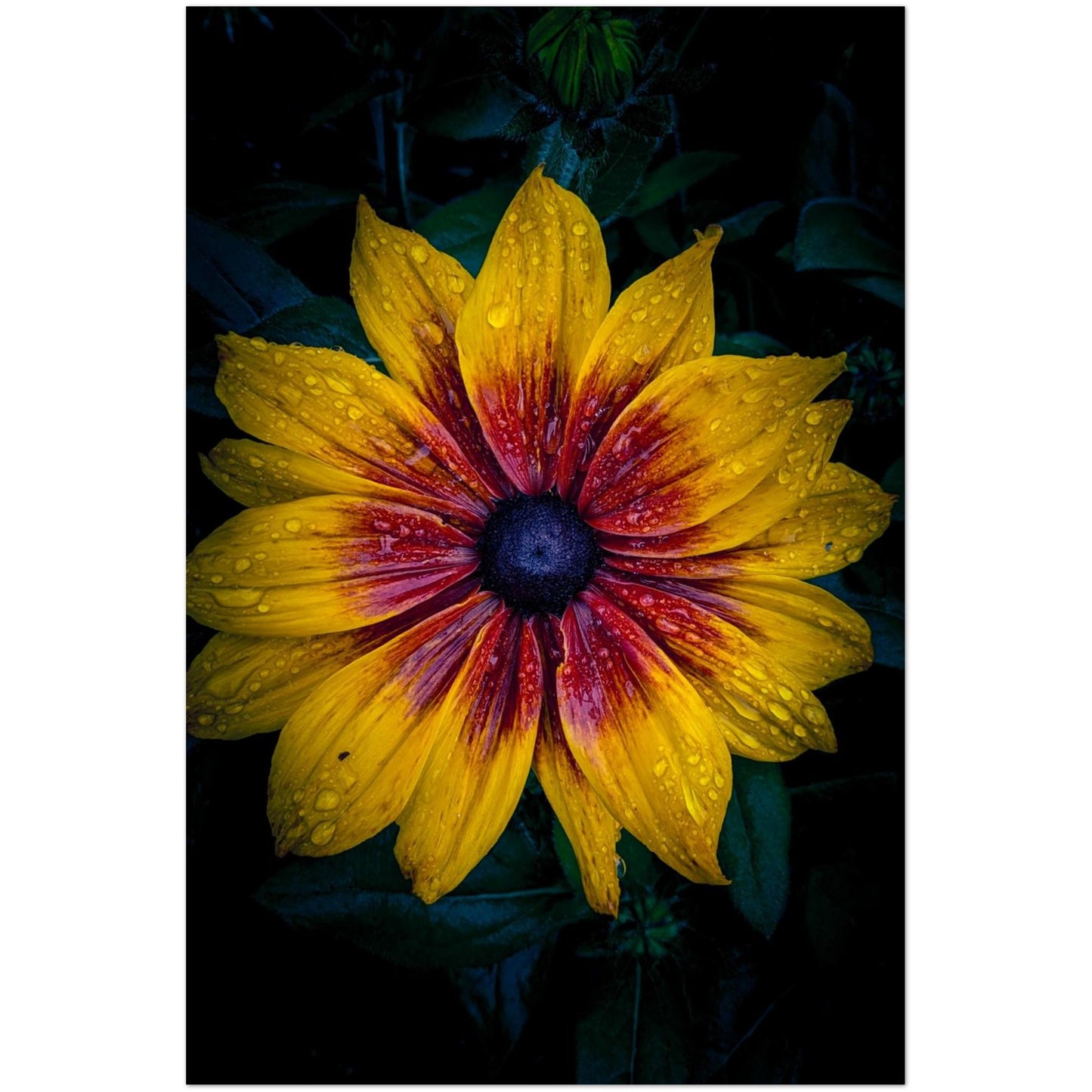 e7377154-8038-47f4-904b-9f38518c5dda