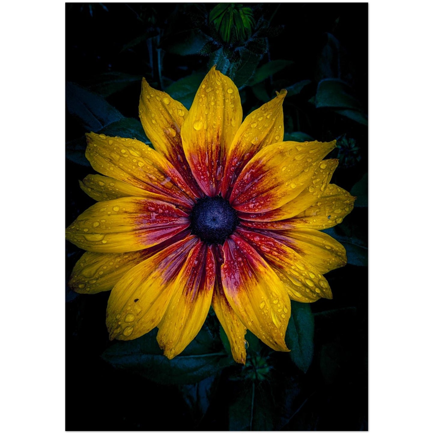 e898d5c4-a4f6-46a0-be4e-8c5ea68537eb