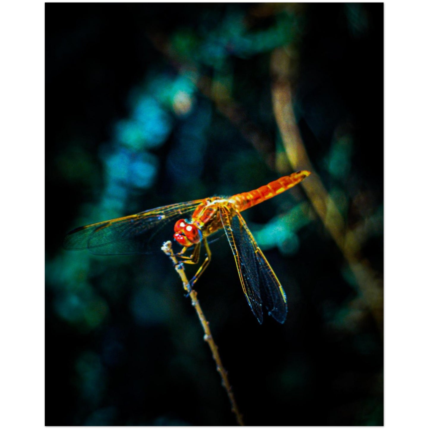 e89aa291-ee46-4f8a-91bd-f059512969ec