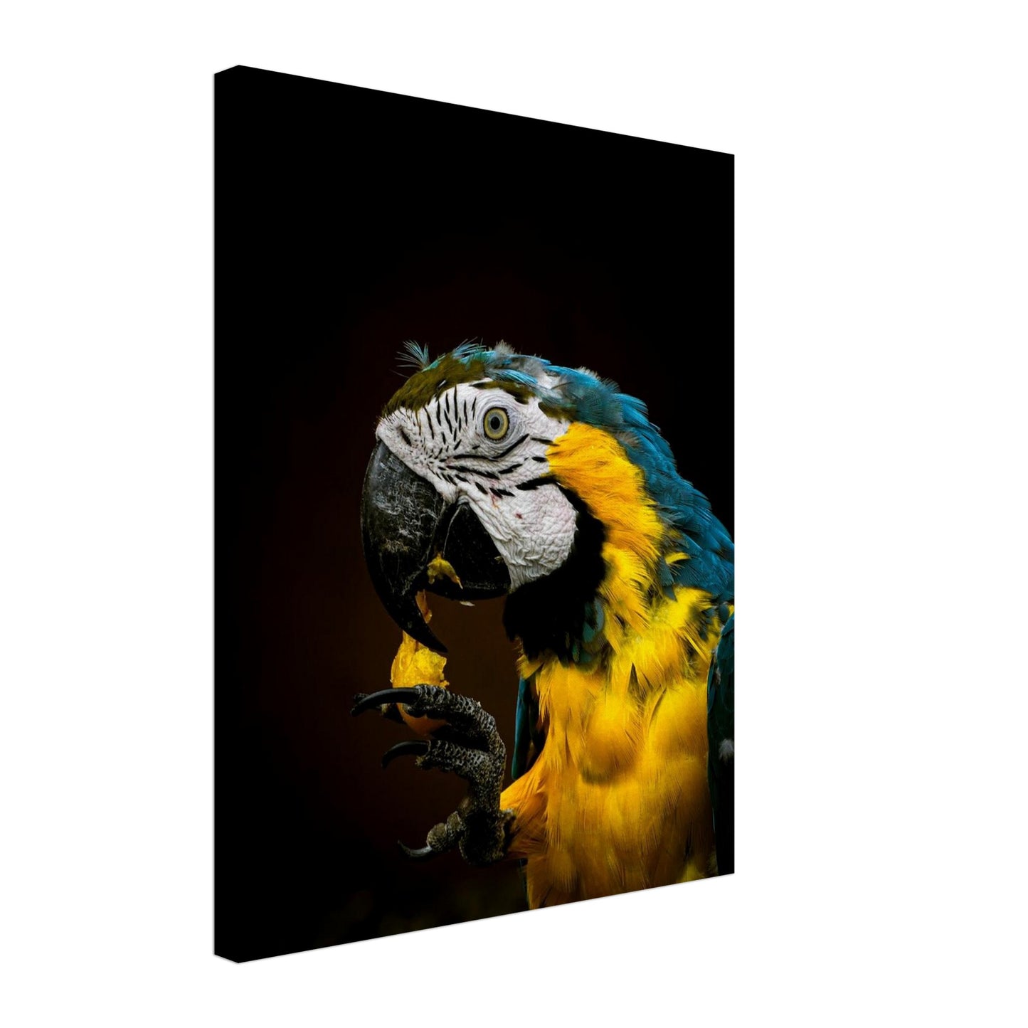 ea4bd032-35e1-4b5e-96cc-53b6044a2cb3