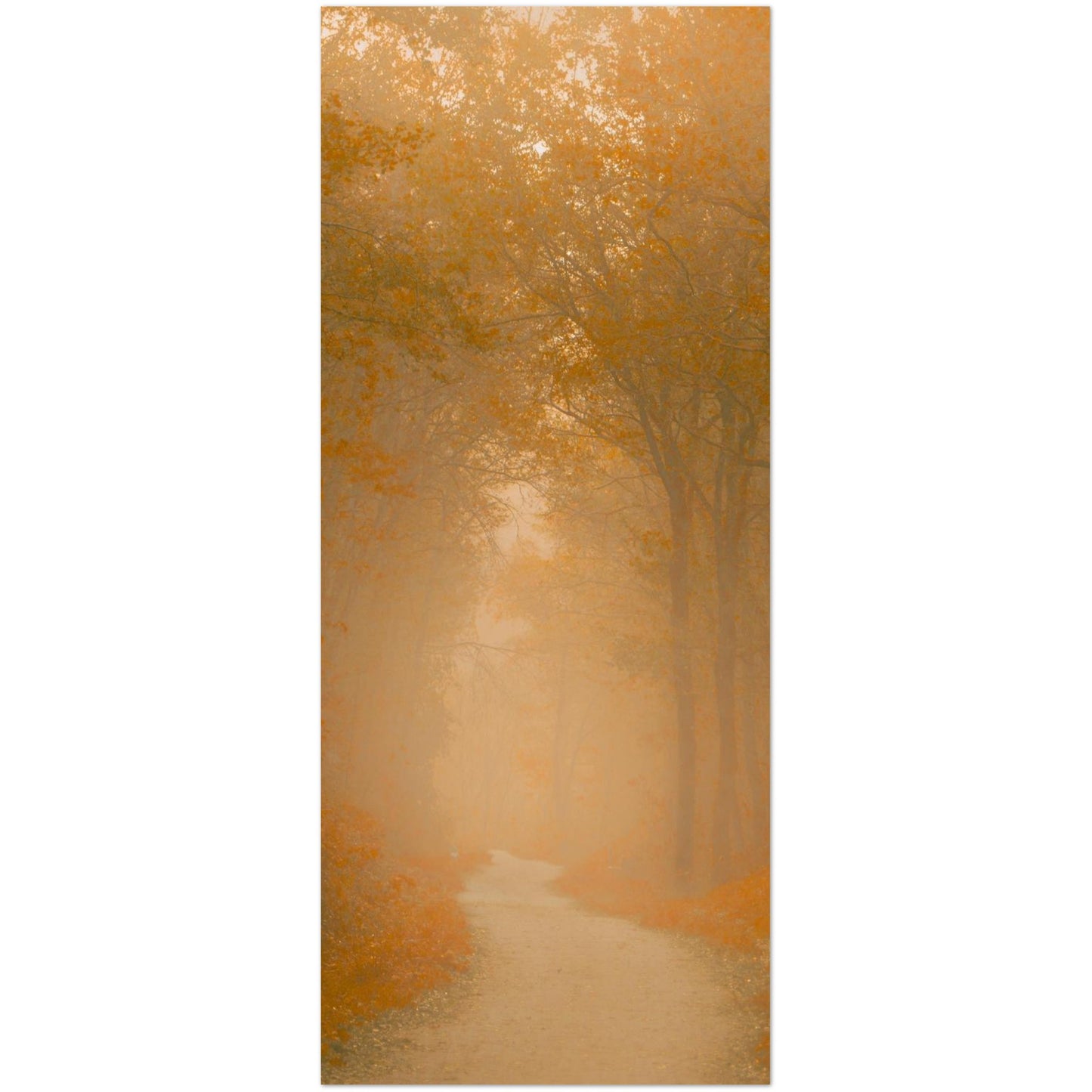 ebddcde2-02fd-4a49-afae-5959c5b587c7