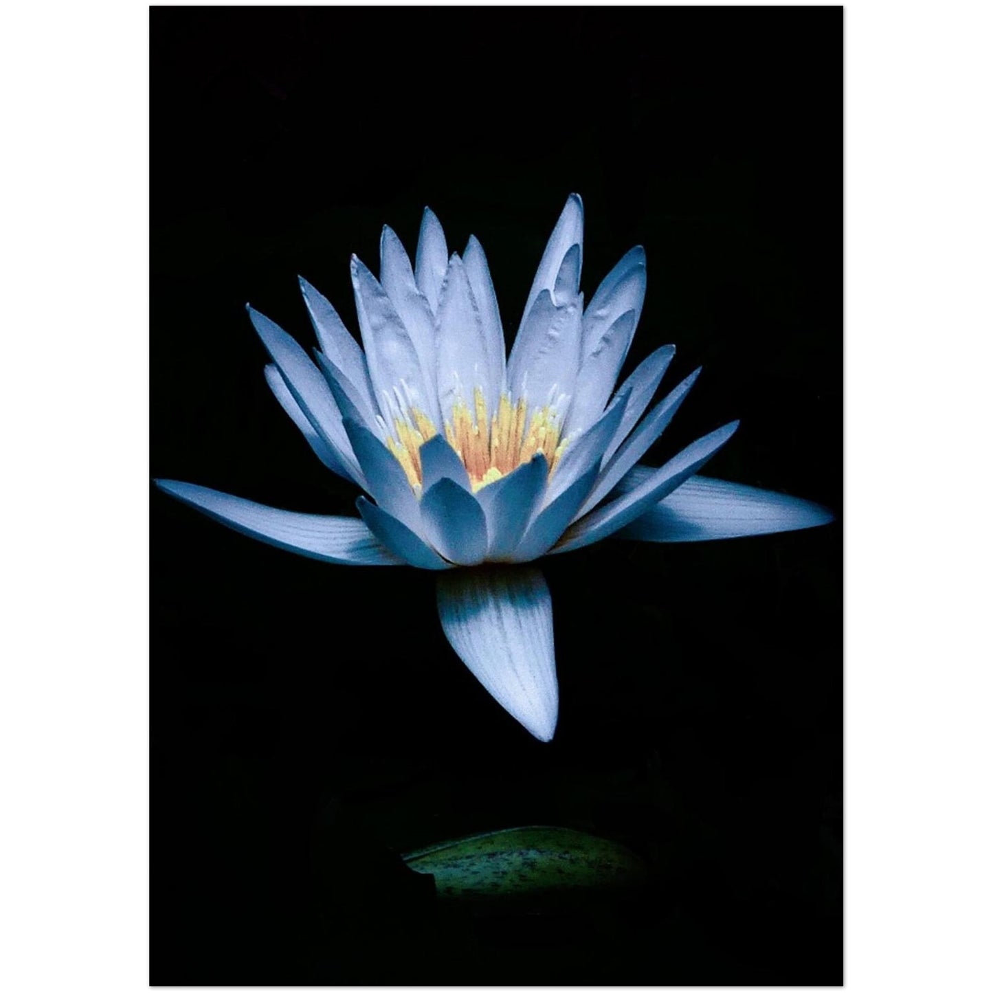 ec4ceb35-5859-4000-a60c-b047267ef4d1