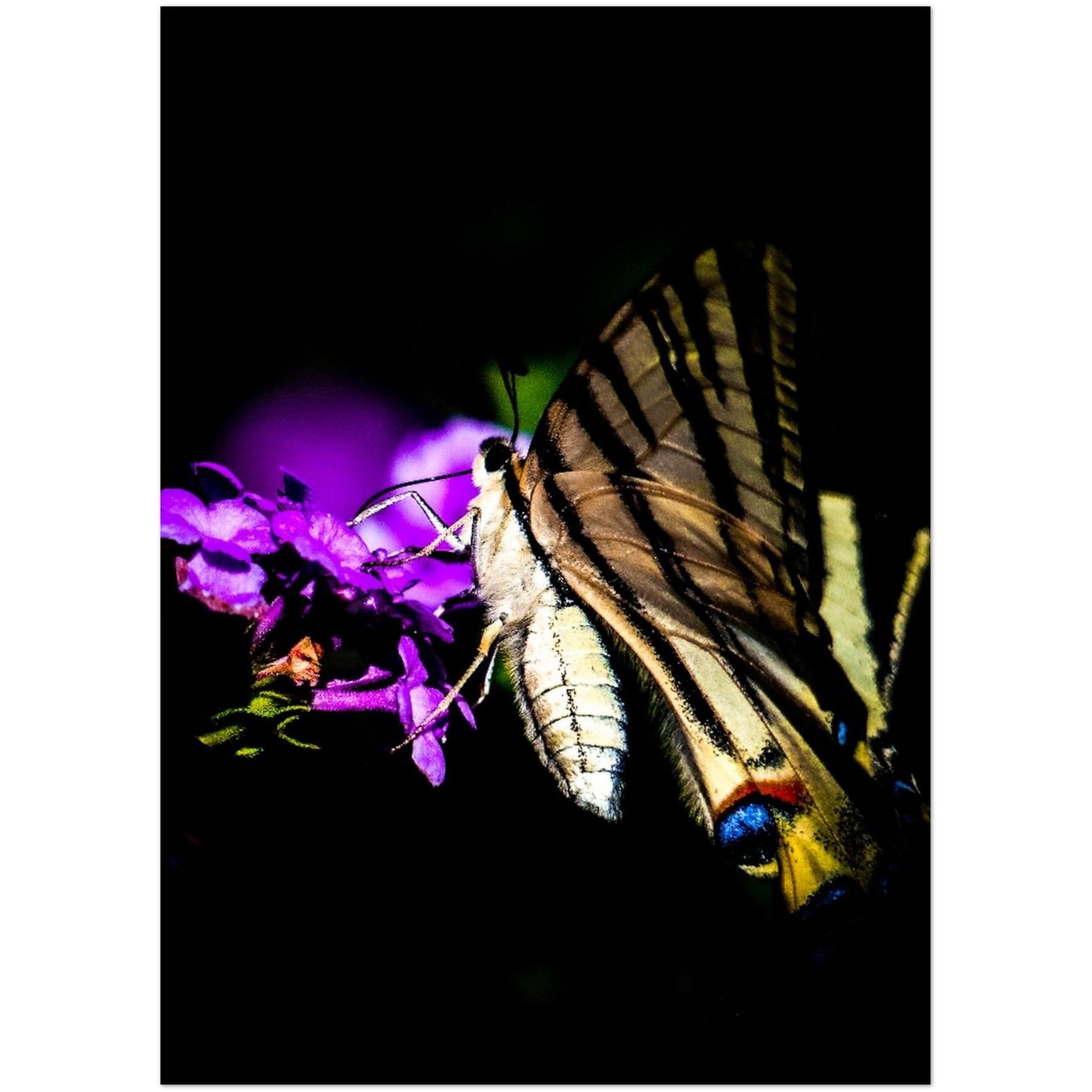 ecb40a8a-d3d8-4883-b01e-90bbd12b6912