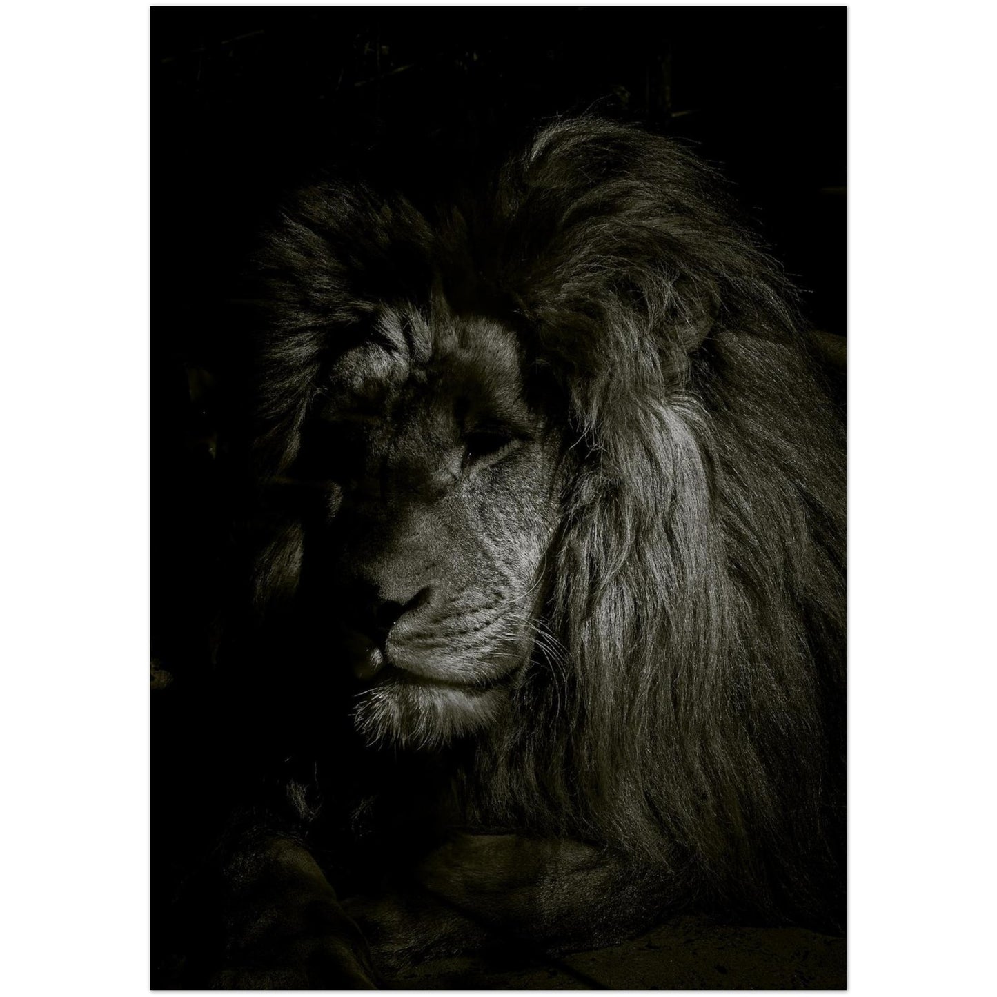 ecf16bac-7bd6-4d4f-ac52-c621d630b119