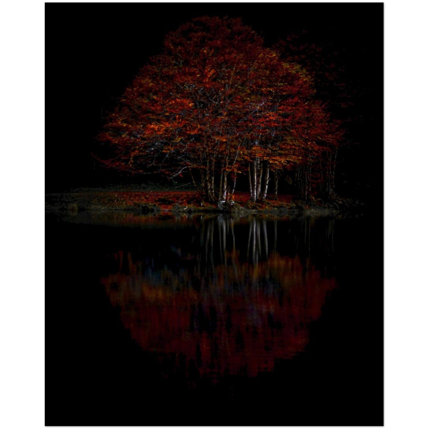 ee16bc4e-1810-4c26-94c9-122793f348ed