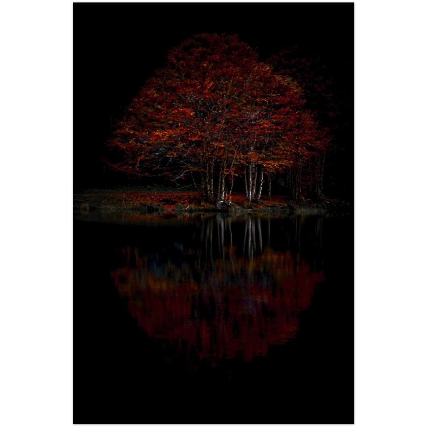 ee426448-aef3-4144-bcbd-2d59a3aca596