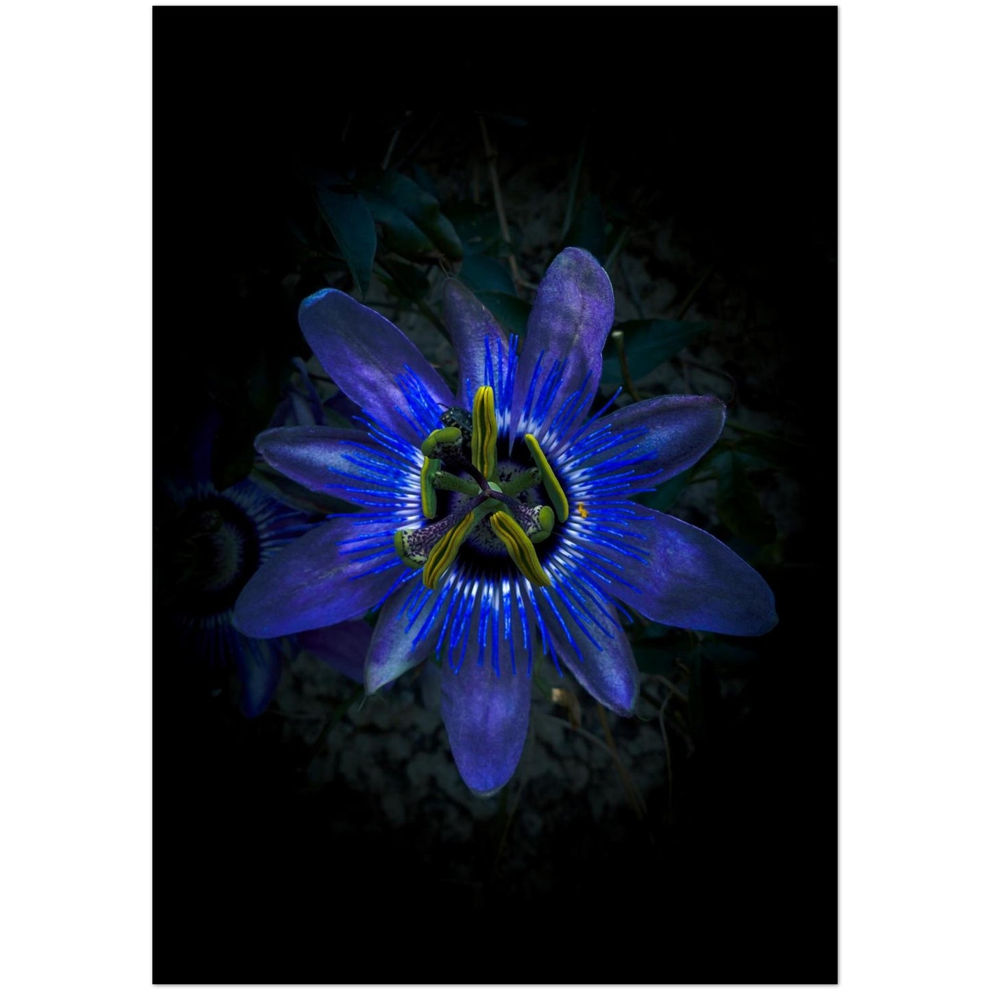 f0089dd8-6973-47eb-9ab2-8c2ce3d0f44e