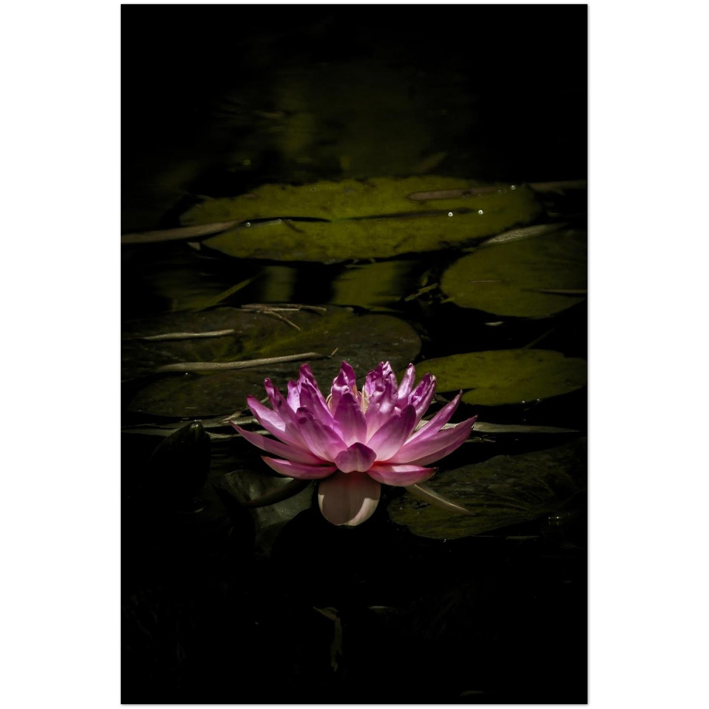 f0c35649-056e-4bd7-9feb-c11e1250d04f