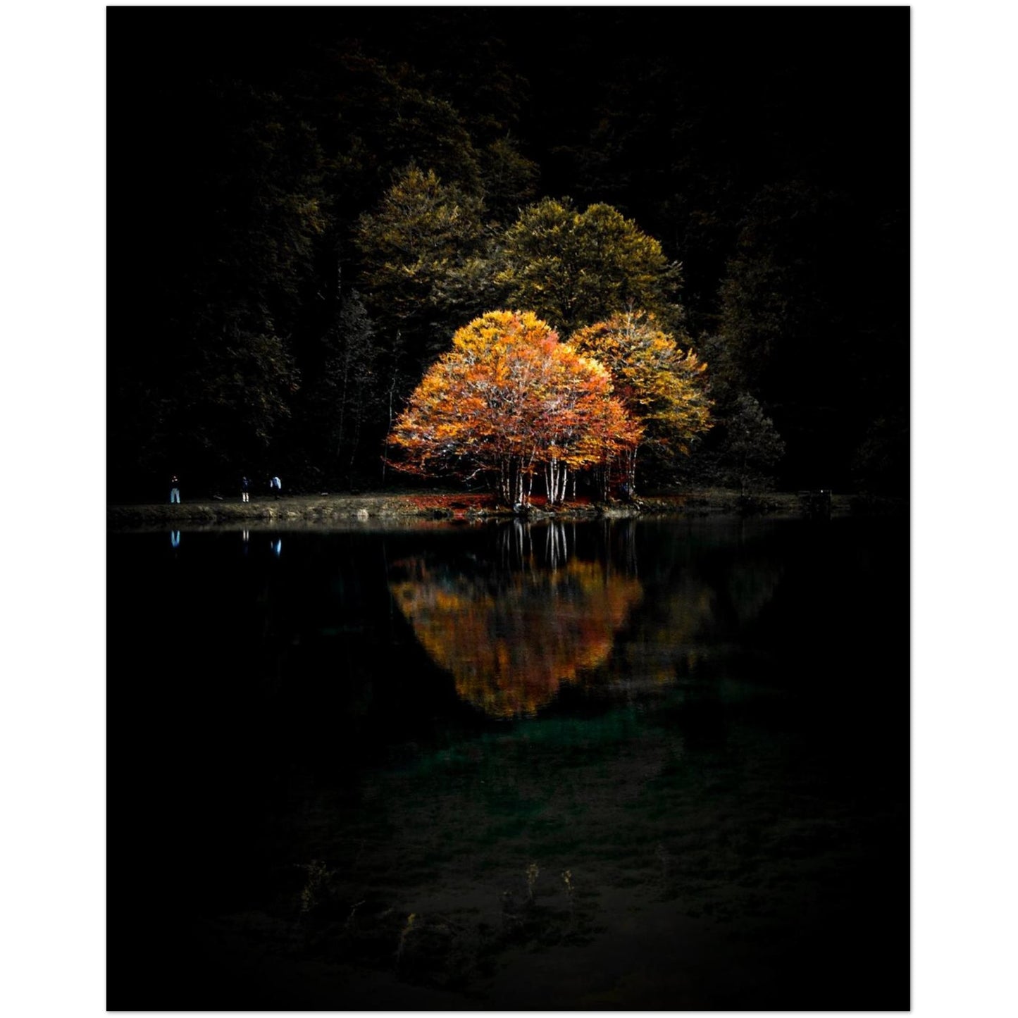 f1f4a2d8-1d03-4ef1-ad8e-c4e683cb849b