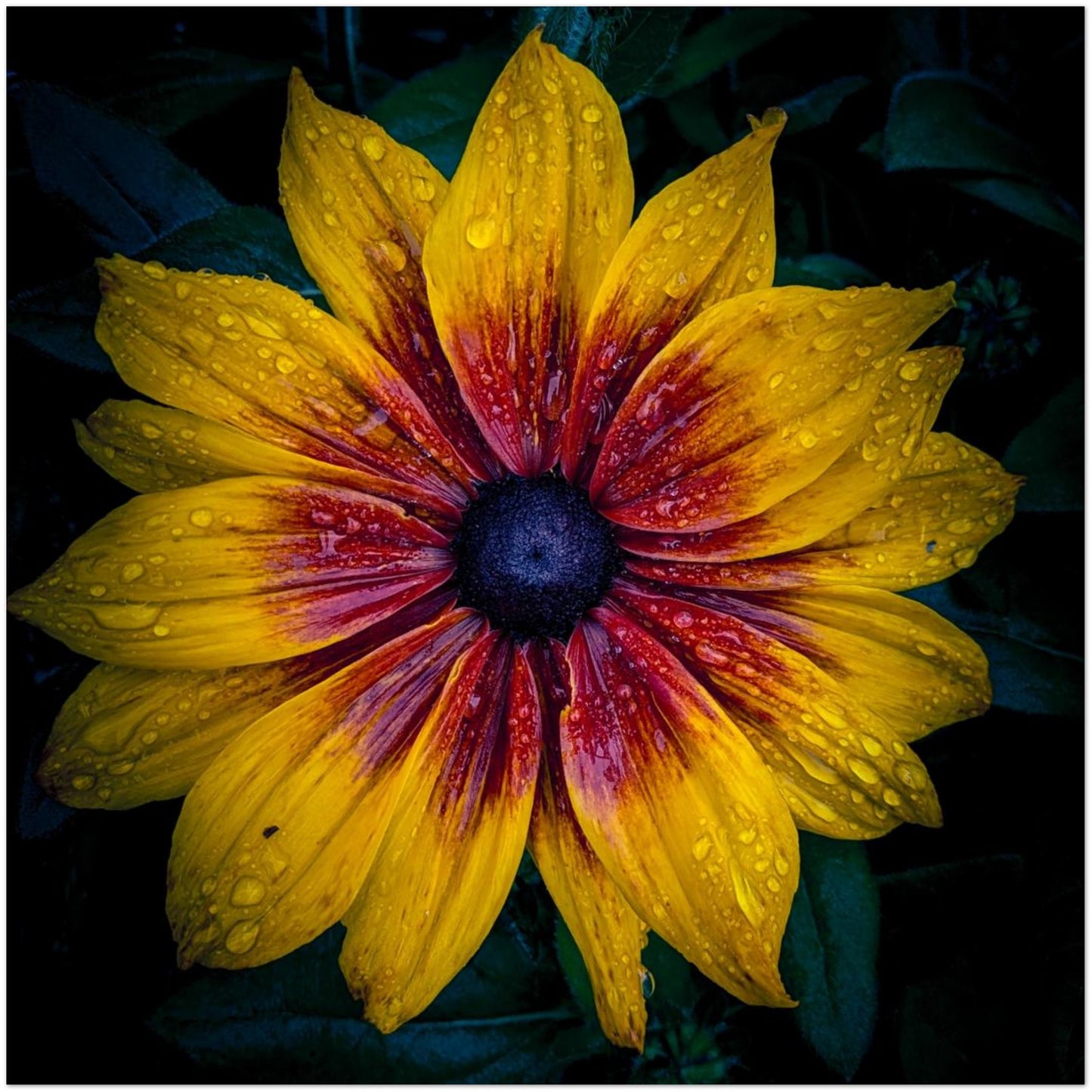 f27afc17-a9ed-4cb9-a6f2-cef6e2e52fa0