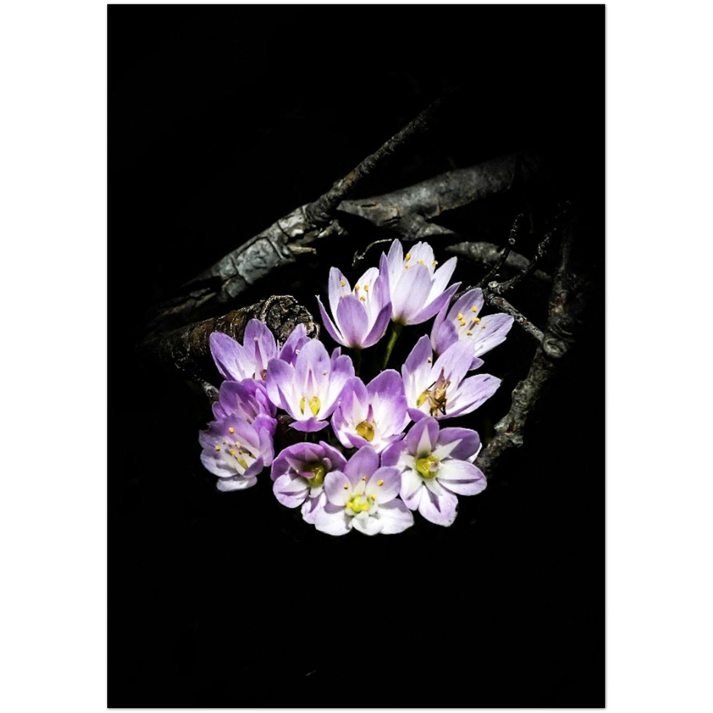 f2c4c89d-989c-4e27-a1d5-942f41d0b9d3