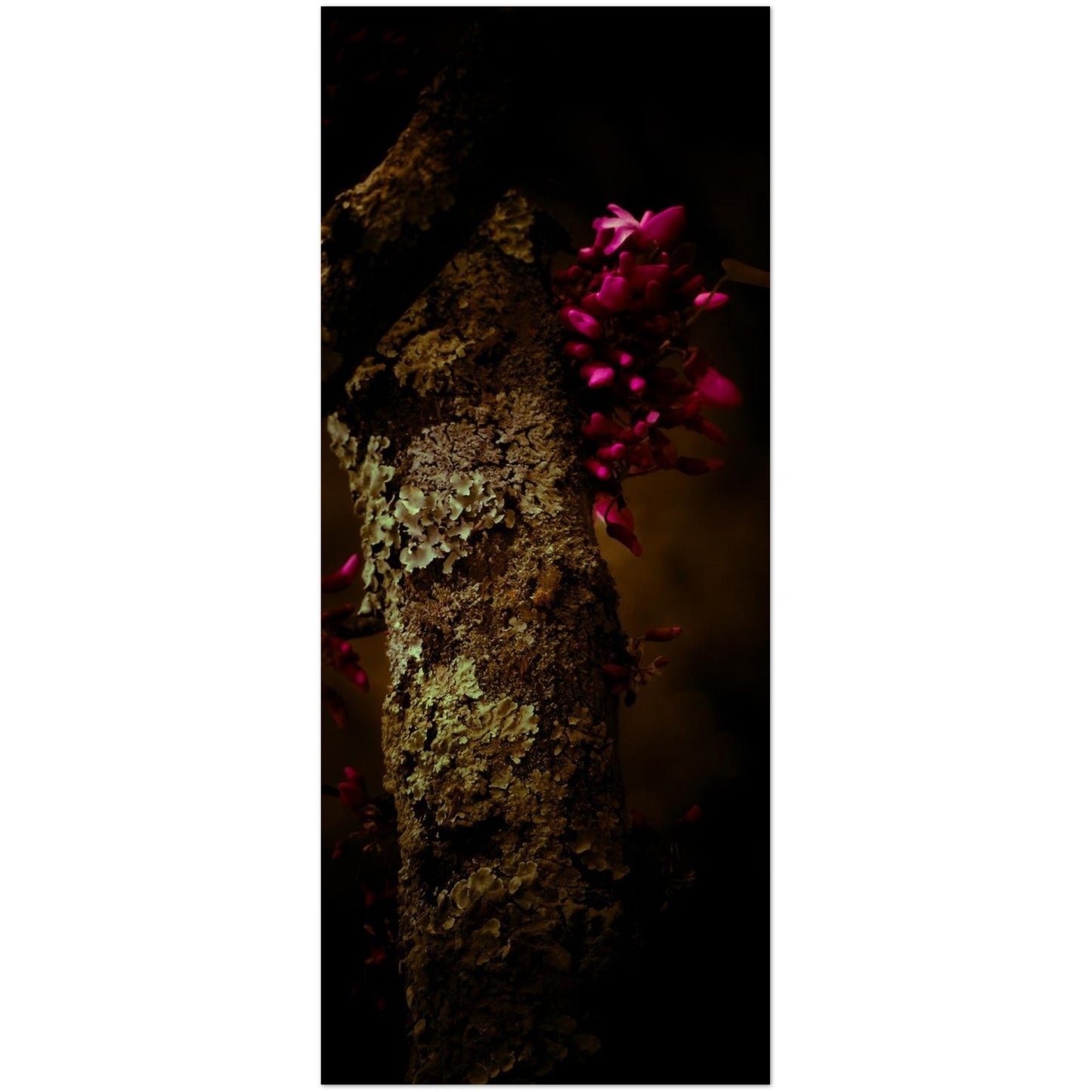 f2d84427-2f31-423f-bd2e-7716d41474c9