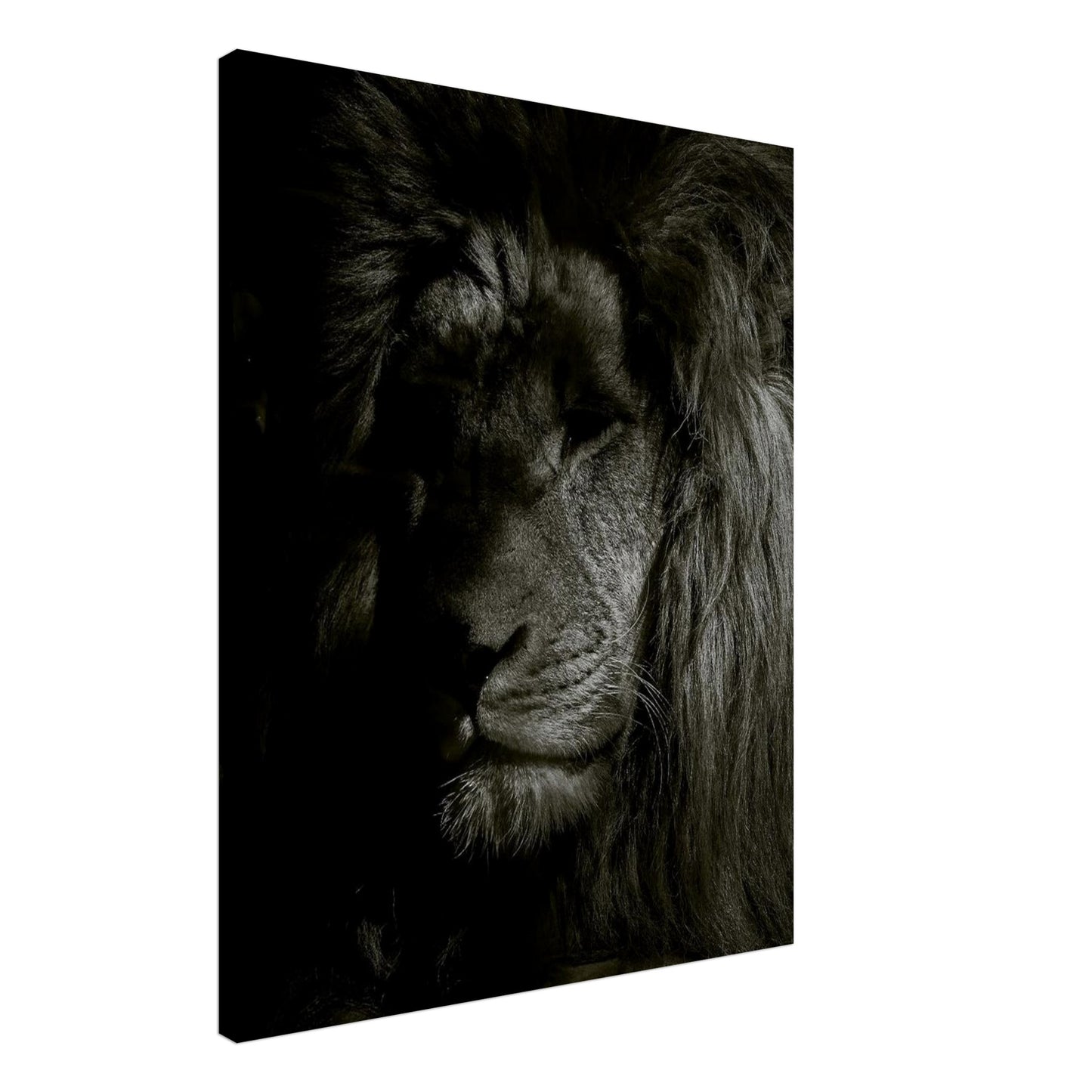 f4e7069f-3cd3-47a1-8796-162ef6acb584