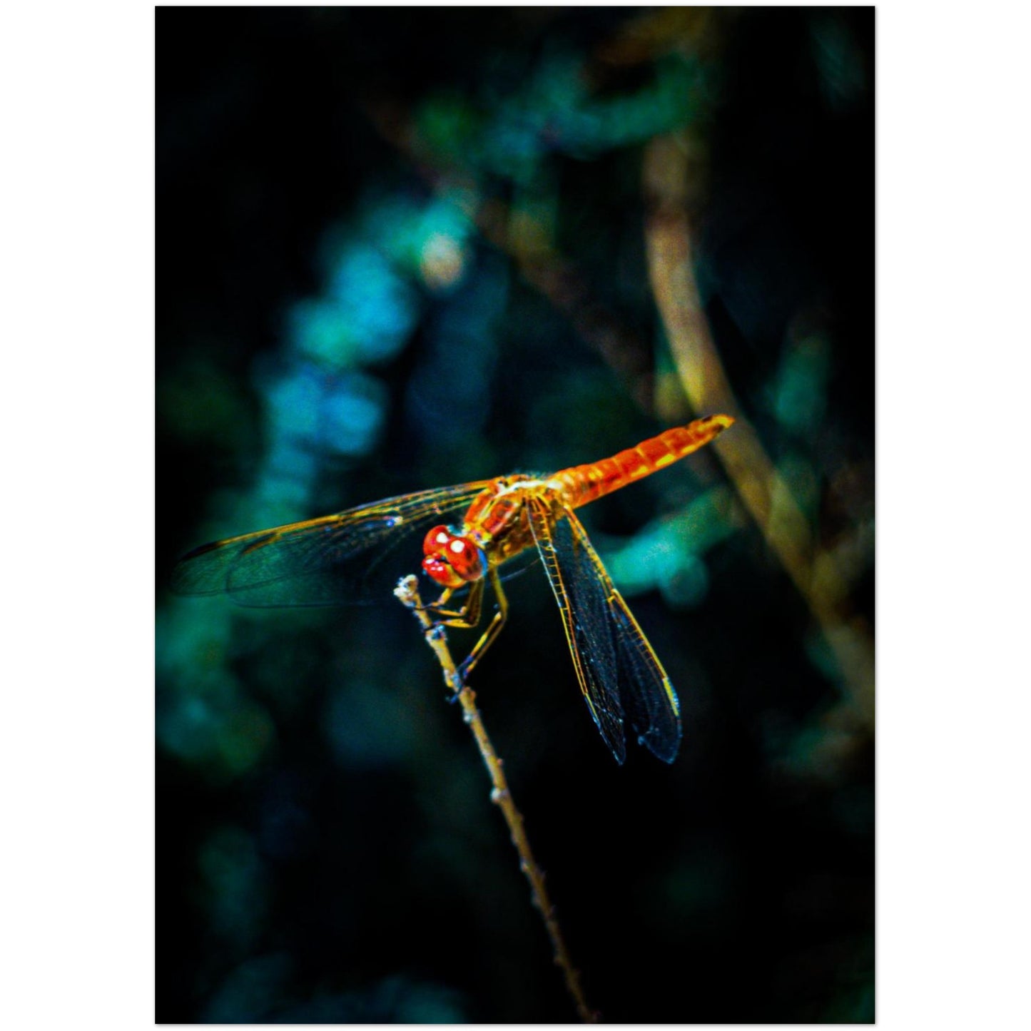 f6046765-49d0-423f-a5bc-ba1752574942