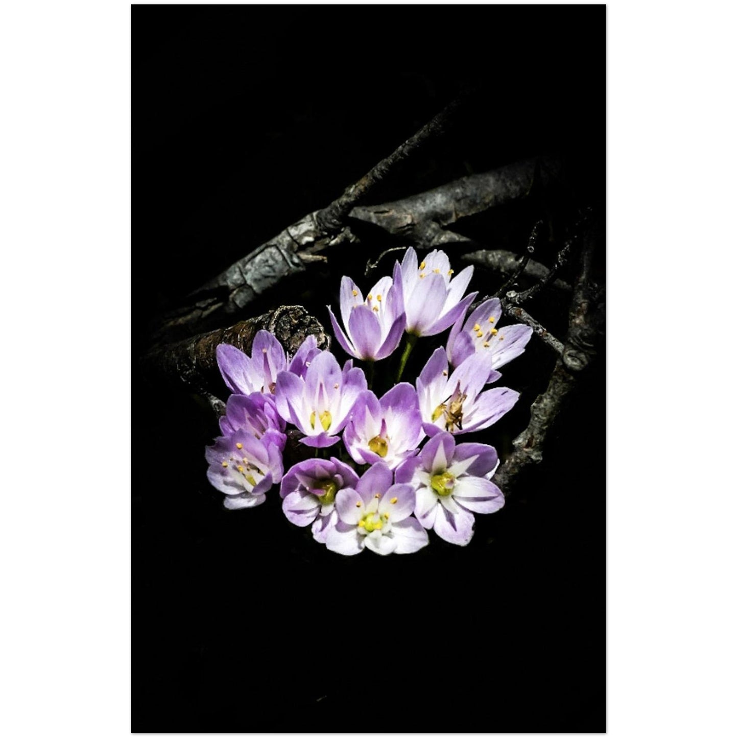 f63bf899-da85-4687-a82a-7690e7c1303e