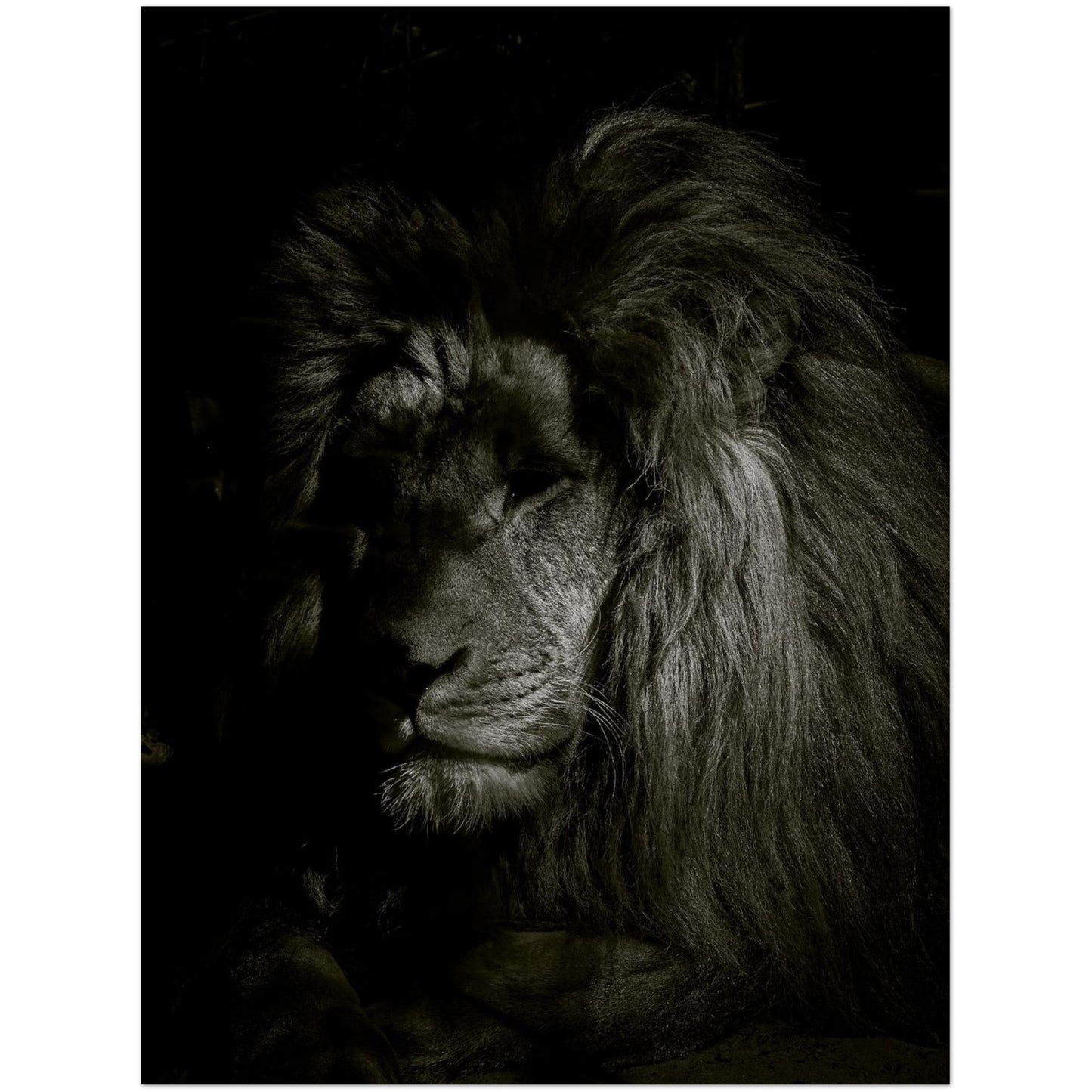 f6405303-3c53-45ca-bfee-5123584f1dee