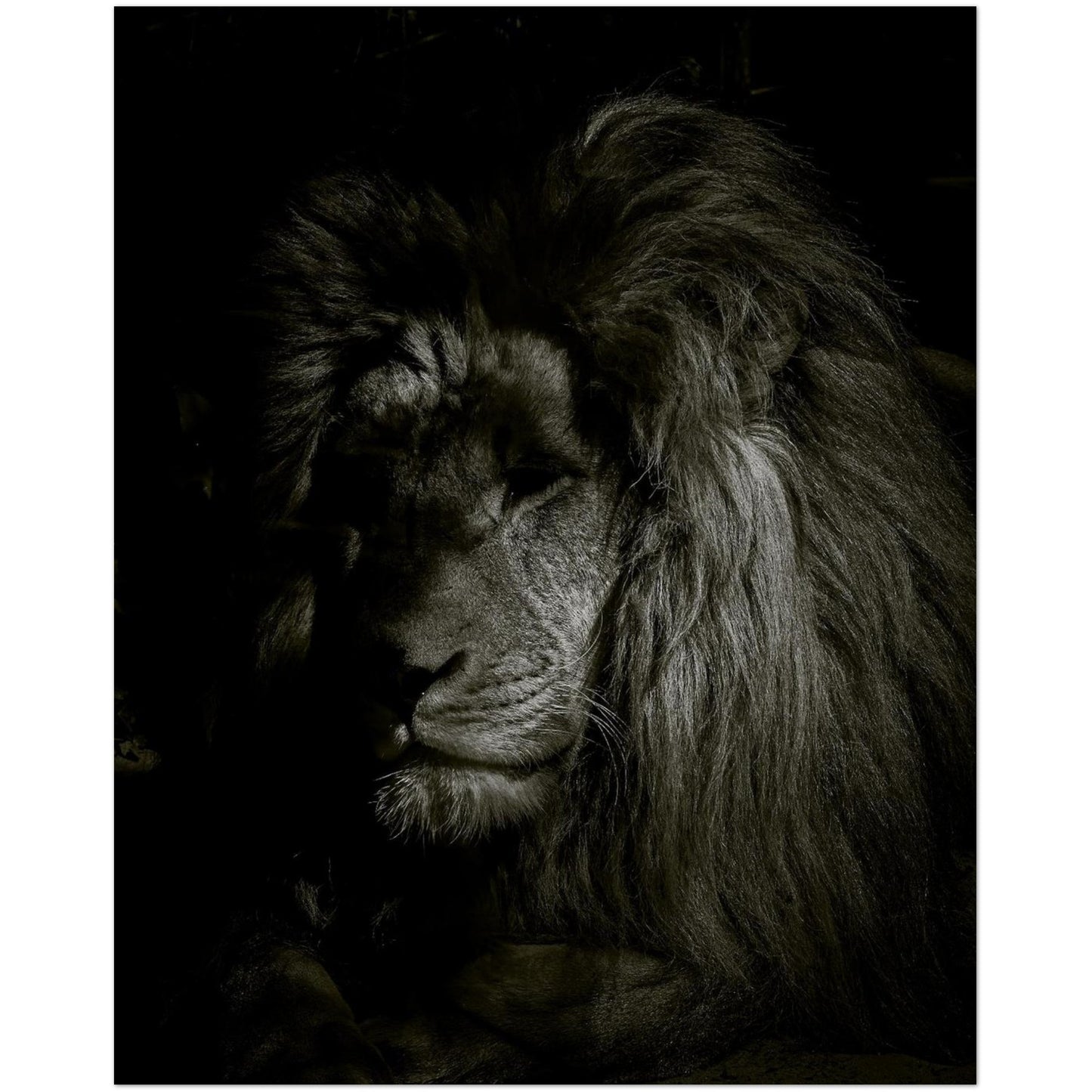 f923b0c0-44eb-49ac-9c58-929e0462f5ee