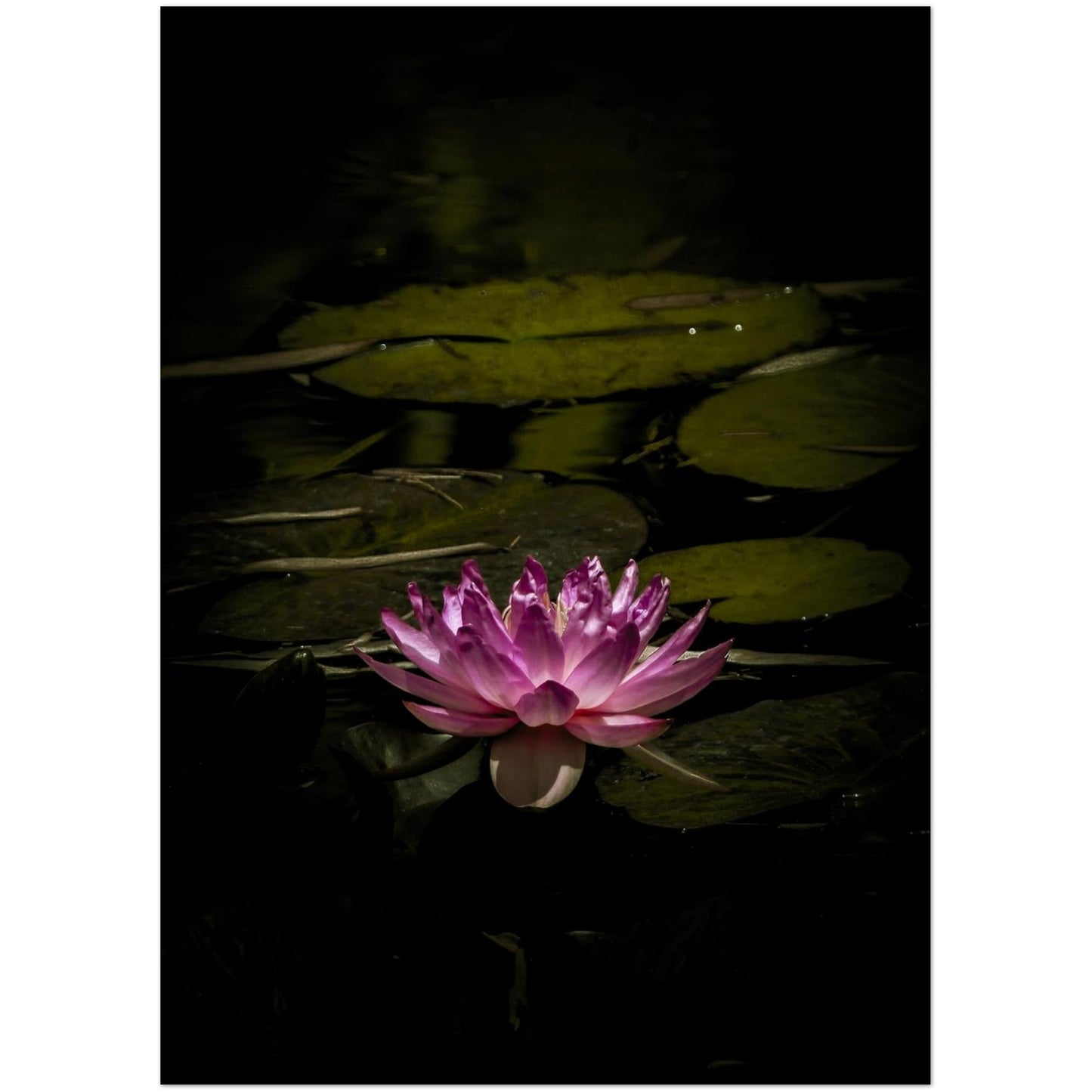 fa45fc0e-5b33-4e6c-a994-74b8fb625f00