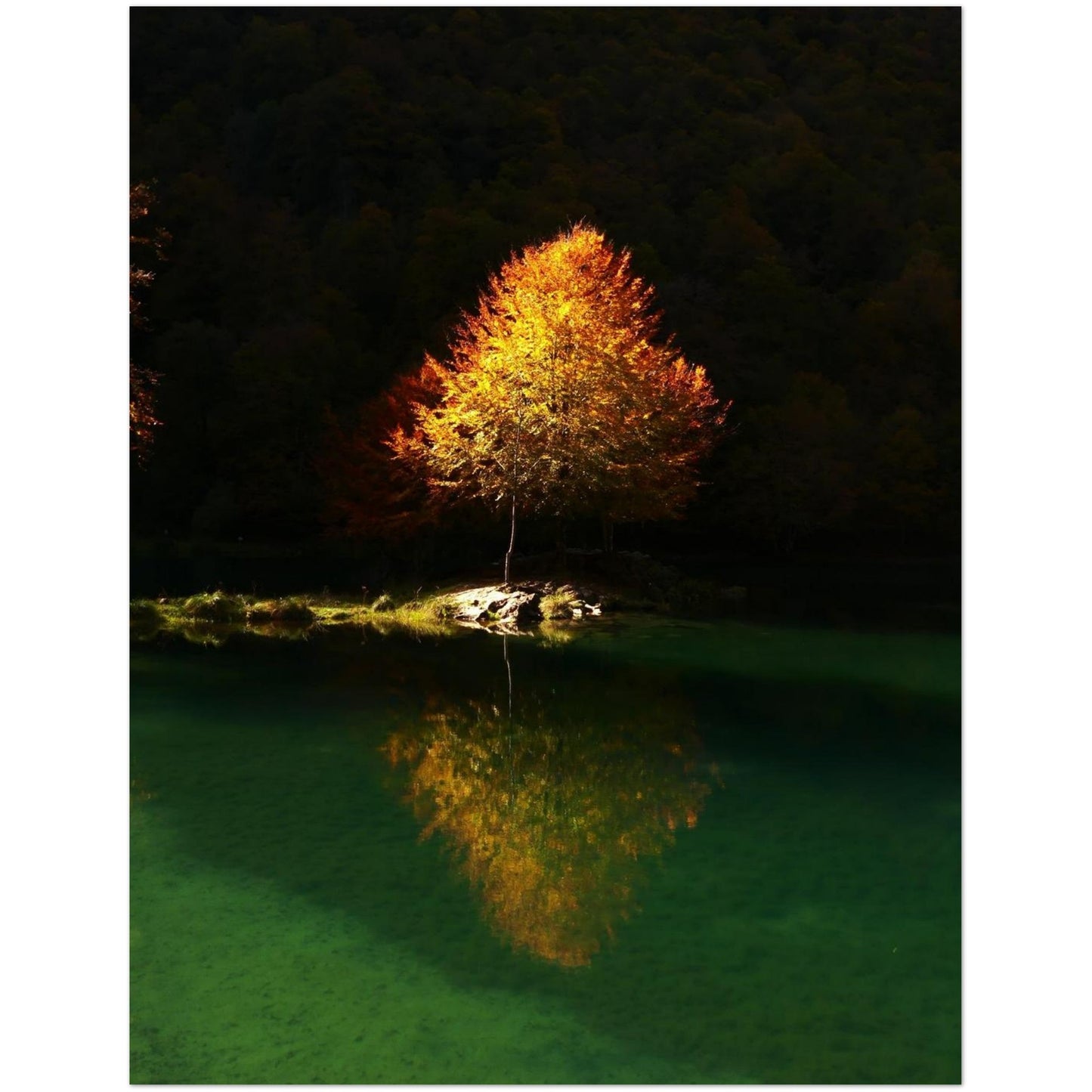 fbe6b58a-767c-4482-a21c-24cd5d45ace2