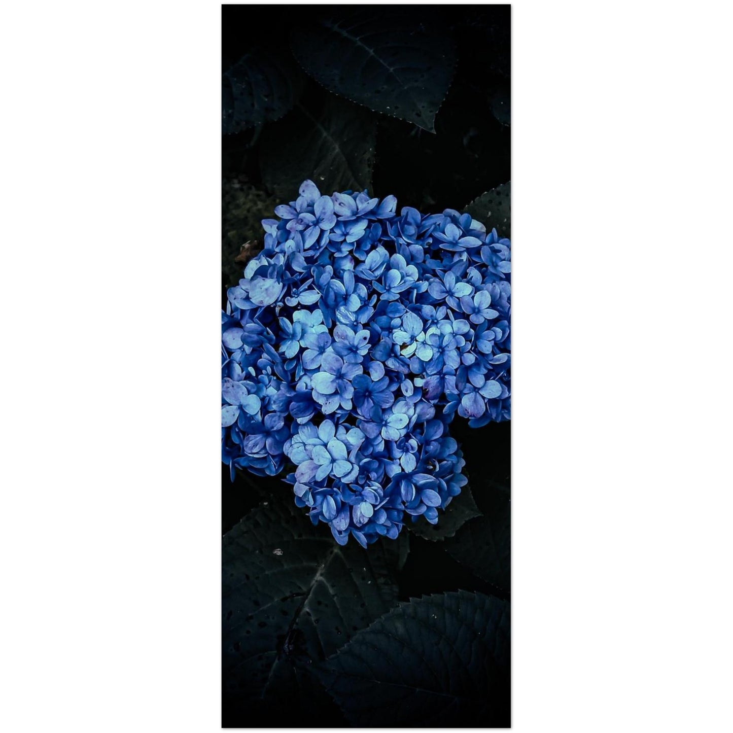 fc48dc51-fc1e-47d1-848f-24e3f46a9724