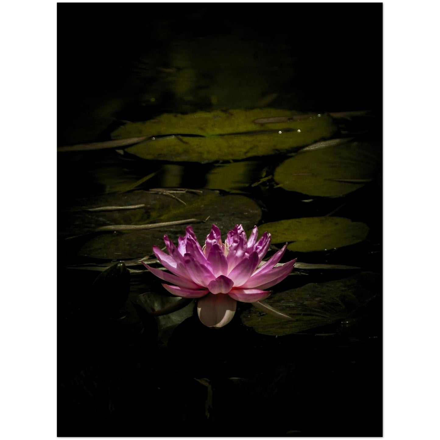 fc88144c-65f9-421c-9b7e-05dabb28d3d8