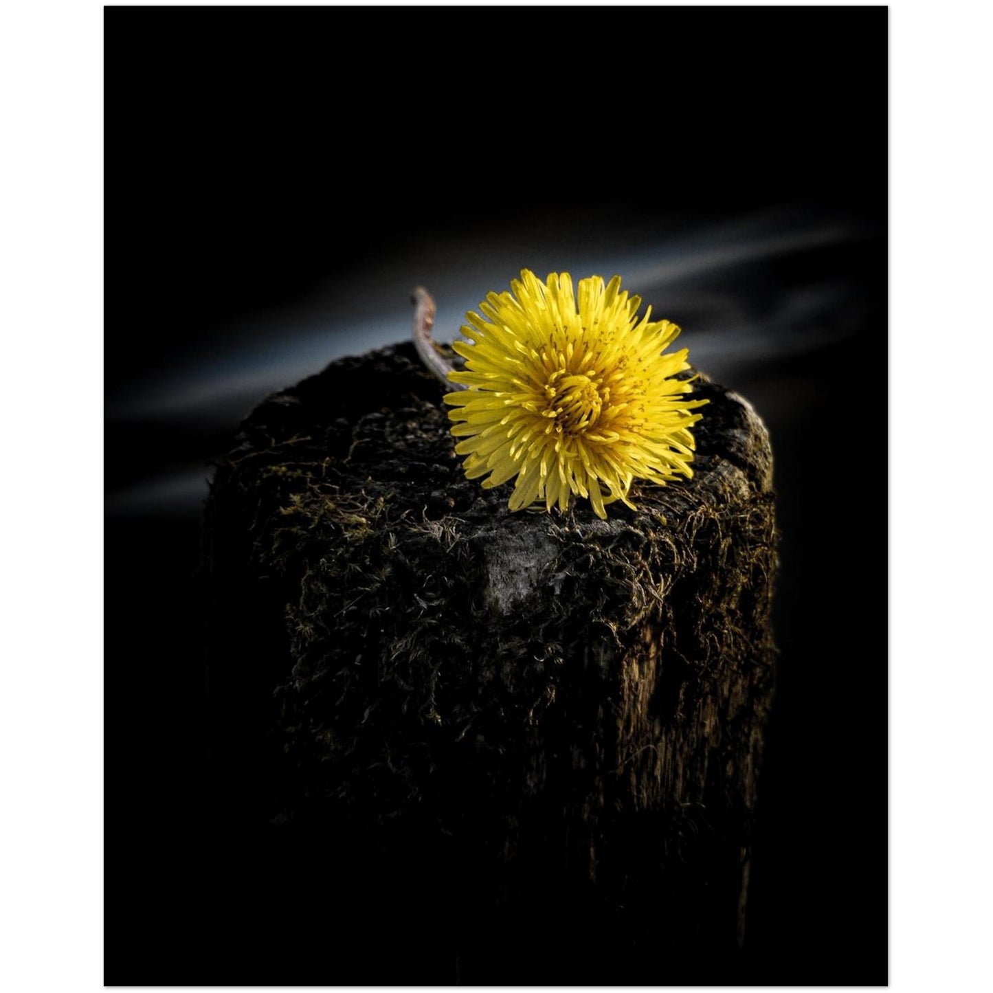 fcaeedd9-16c2-4a45-b4dc-36665252bf54