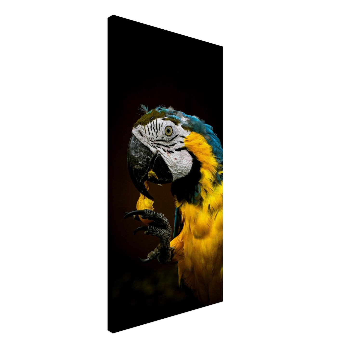 fcb1cf29-ecf6-42ae-be8f-2d23c928f5ac