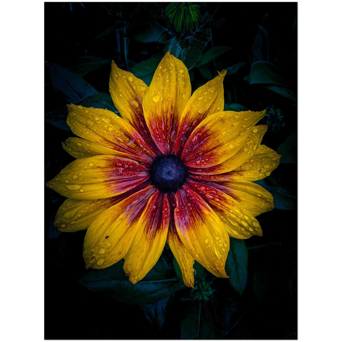 fcc3a7b1-691d-448b-988f-4d2c22baff2c