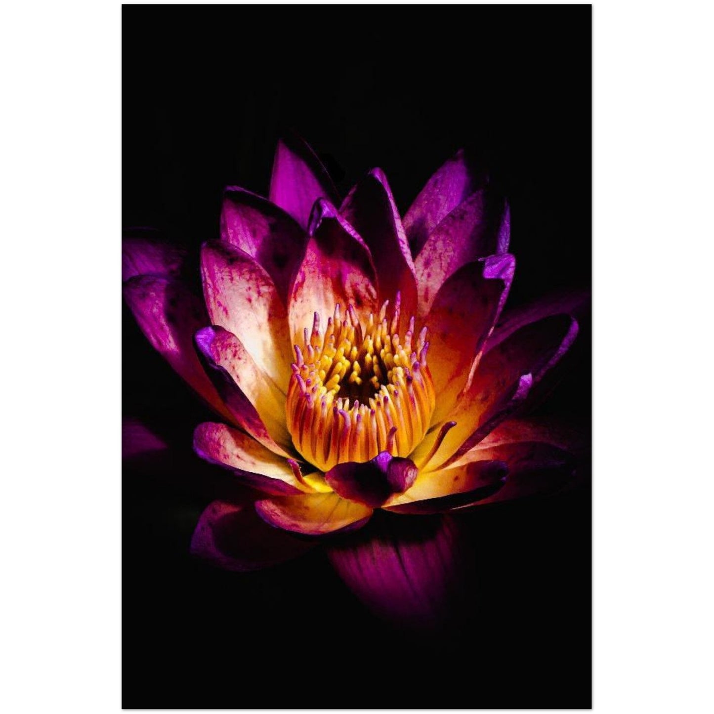 fd1fb5e6-275e-46eb-b953-cd0e125d7e74