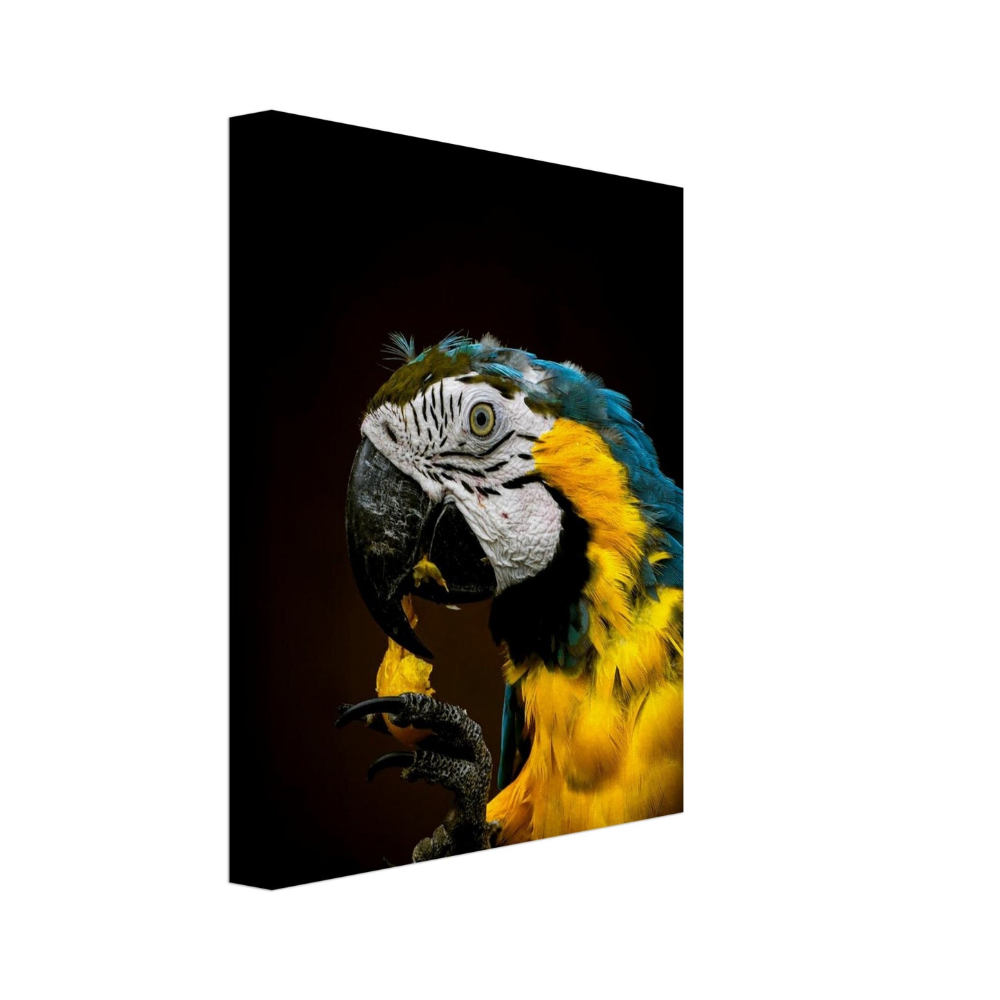 fe645ae1-2049-4db5-8826-a2f46eee6b1a